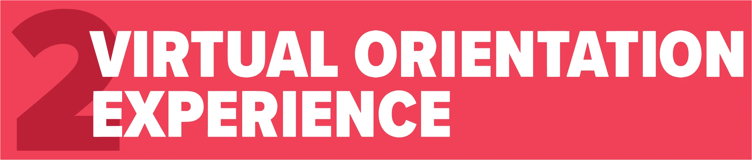 Virtual Orientation Experience